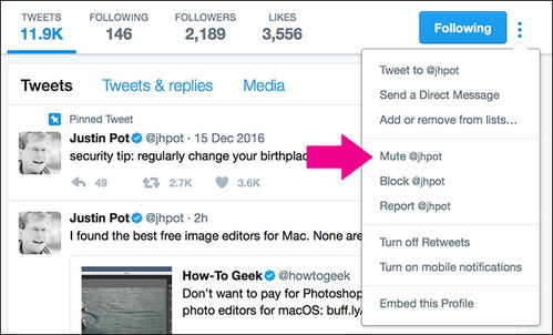 怎样下载使用Twitter？