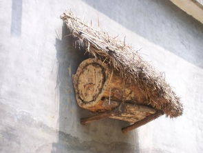 蜂窝图片简笔画