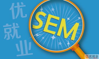 sem是主要做什么的？