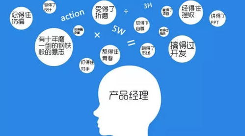 风险投资的风险,风险投资的运作