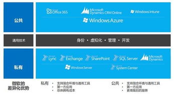 微软云计算架构的微软云计算战略