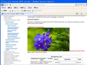 CSDN是什么意思？