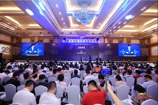 风险投资网的现状是什么样的？