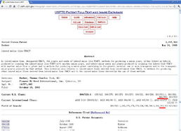 中国专利查询网站,中国专利局官方网查询