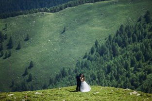 "山无棱，天地合，才敢与君绝“中的”棱“读”ling"还