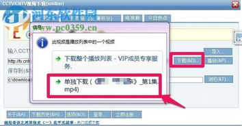 怎样在央视网下载视频？