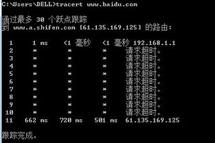 谁能告诉我一些DOS命令?他们常用的DOS是怎么用的?