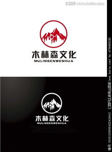 木林森皮鞋怎么查真伪