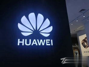 华为手机怎么连接网络