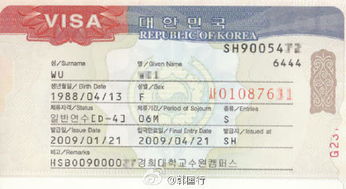 网上签证怎么签