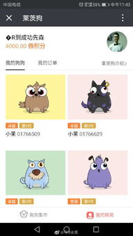 莱茨狗总共有多少个