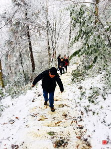 求看雪论坛邀请码