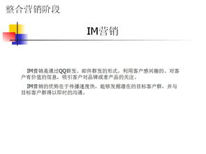 网络营销及案例分析的目录