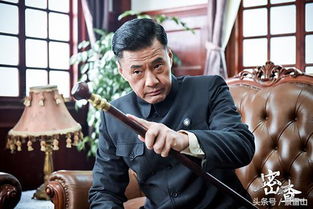 影视制片人是干什么的,电视剧中的制片人是做什么的