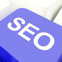 什么seo软件好