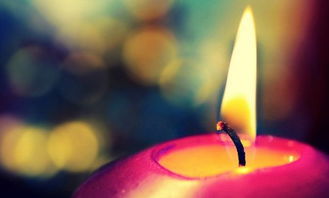 时光荏苒的意思是什么？