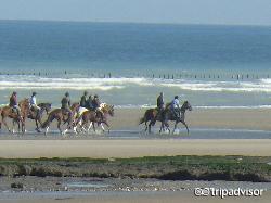 帮我查marines这个单词的意思