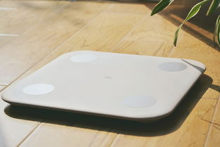 小米小米体脂秤 体重秤和体脂秤有什么区别