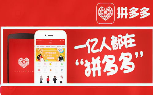 如何在拼多多开网店,没有货源怎么办