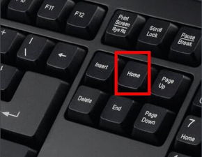 Home键是哪个键