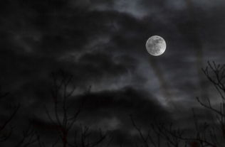 月圆 杜甫 诗歌鉴赏,月圆 翻译