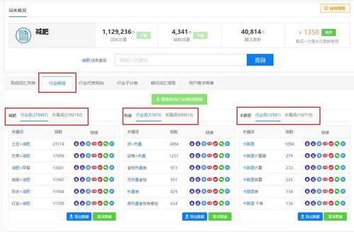 网站流量是什么意思