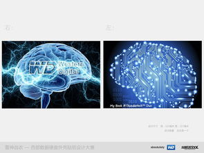 人的原动力是什么？