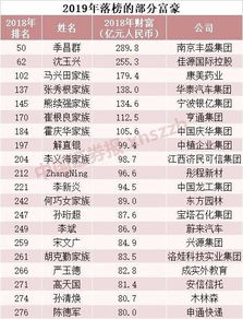 中国最富人,中国富人榜叫什么