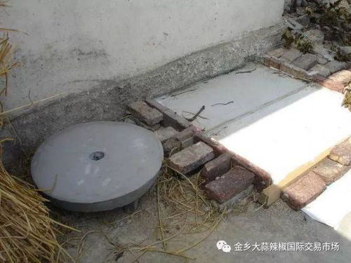 农村沼气池图片