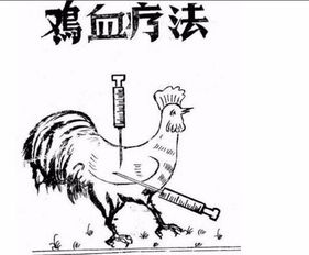 网络用语打鸡血是什么意思,打鸡血是什么意思?有什么来源?