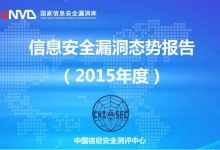 国家漏洞库的发展现状