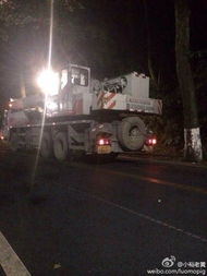 杭州70码事件处理结果,杭州70码事件胡斌