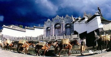 欣欣旅游网里的旅行社可信吗？