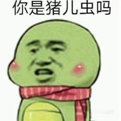 人家叫我猪儿虫啥意思呀