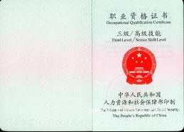 什么是汽车营销师？