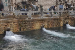 竹坞无尘水槛清的“槛”读什么读JIAN还是读KAN