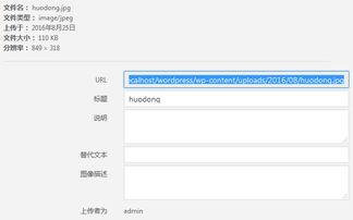 怎样用 WordPress 搭建网站