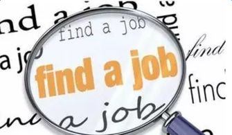 什么专业就业前景好