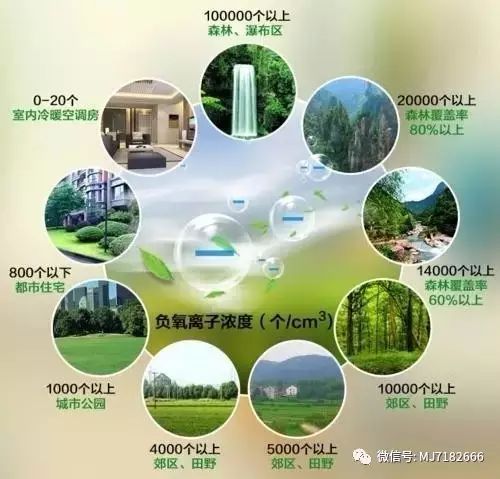 负离子的作用是什么