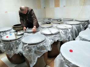 葡萄酿酒方法和步骤