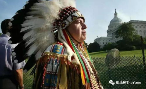 印第安人是什么人种