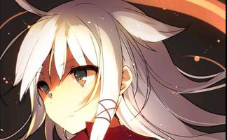 剑宗宠物宝珠打什么比较好绵nf剑宗吧