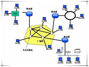 为什么要用广域网协议