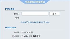 如何通过IP地址查询真实详细地址