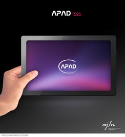 LoL里面ap和AD是什么意思？