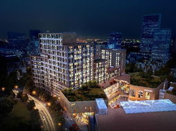 央视大楼着火,央视大楼设计者