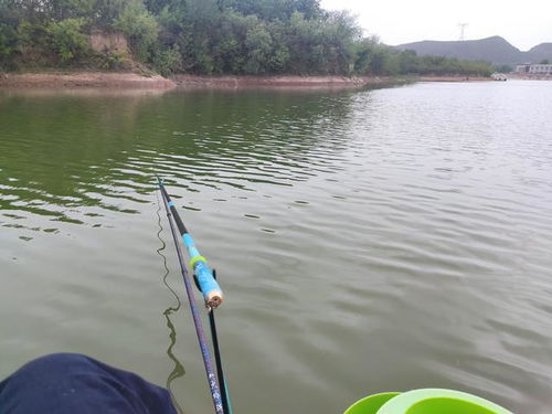 钓鱼漂怎样认识？