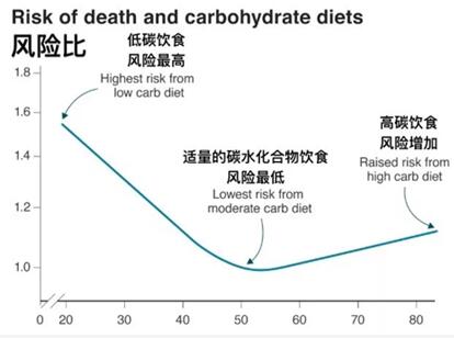 有哪些高碳水化合物食物?