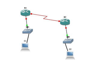 常用的广域网协议有哪些