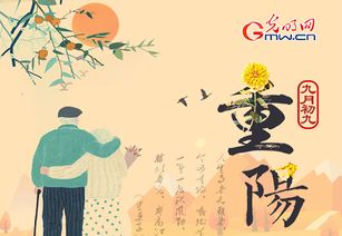 重阳节有什么习俗？